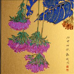 非洲芙蓉